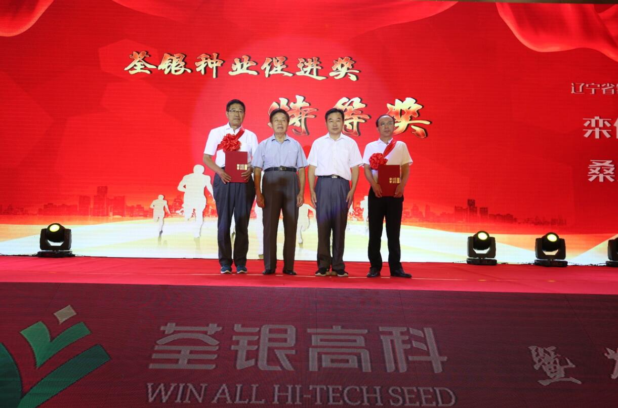 华人策略最新地址