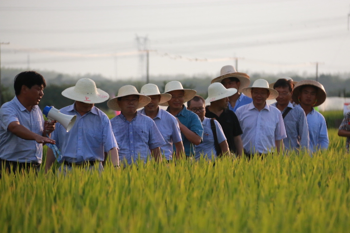 华人策略最新地址