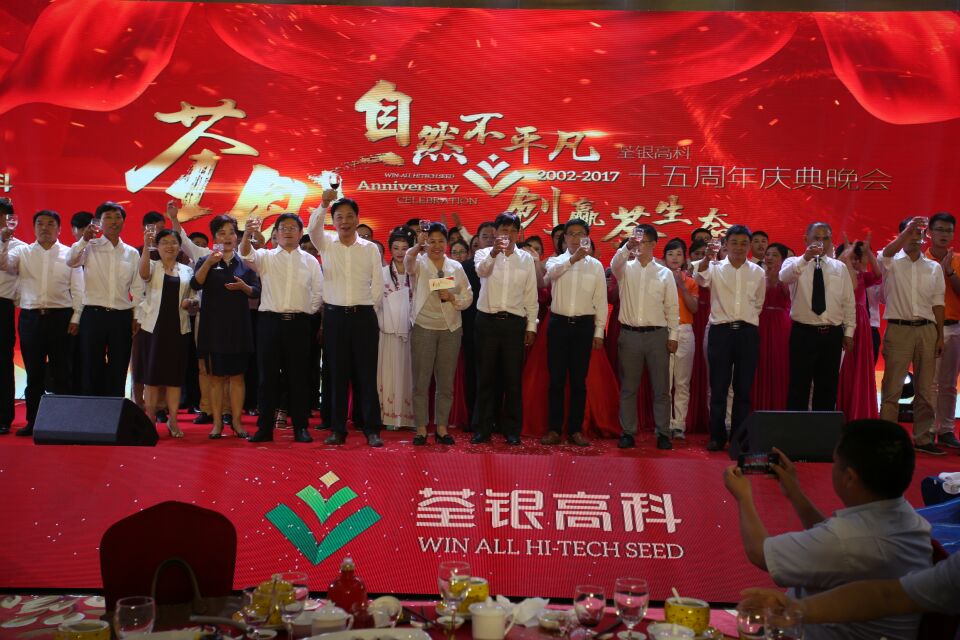 华人策略最新地址