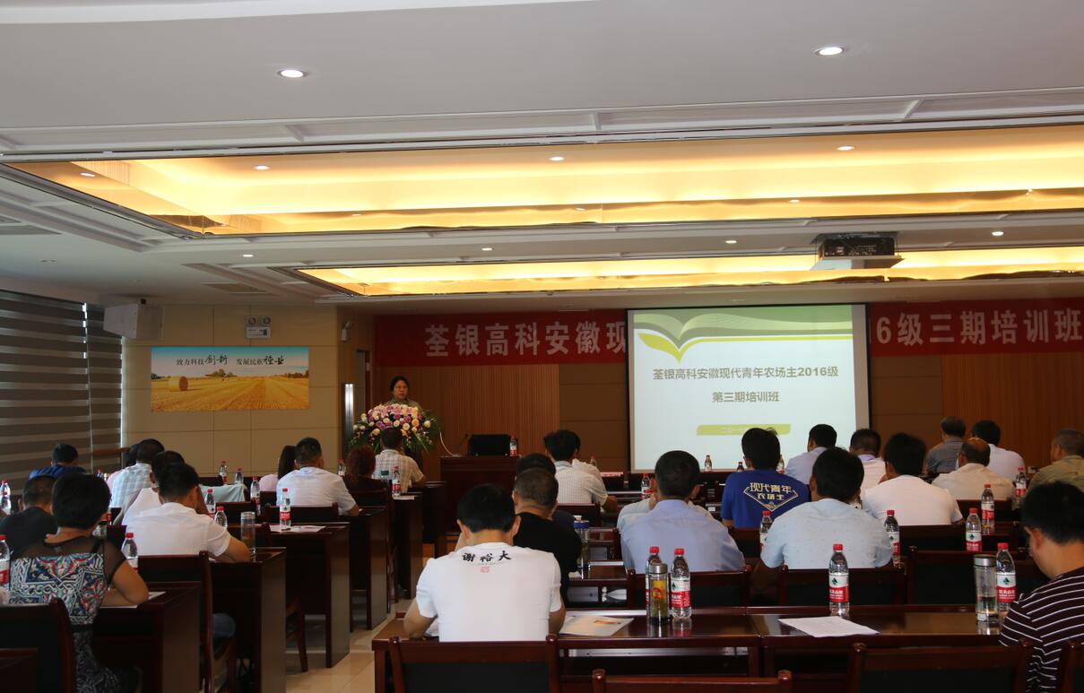 华人策略最新地址