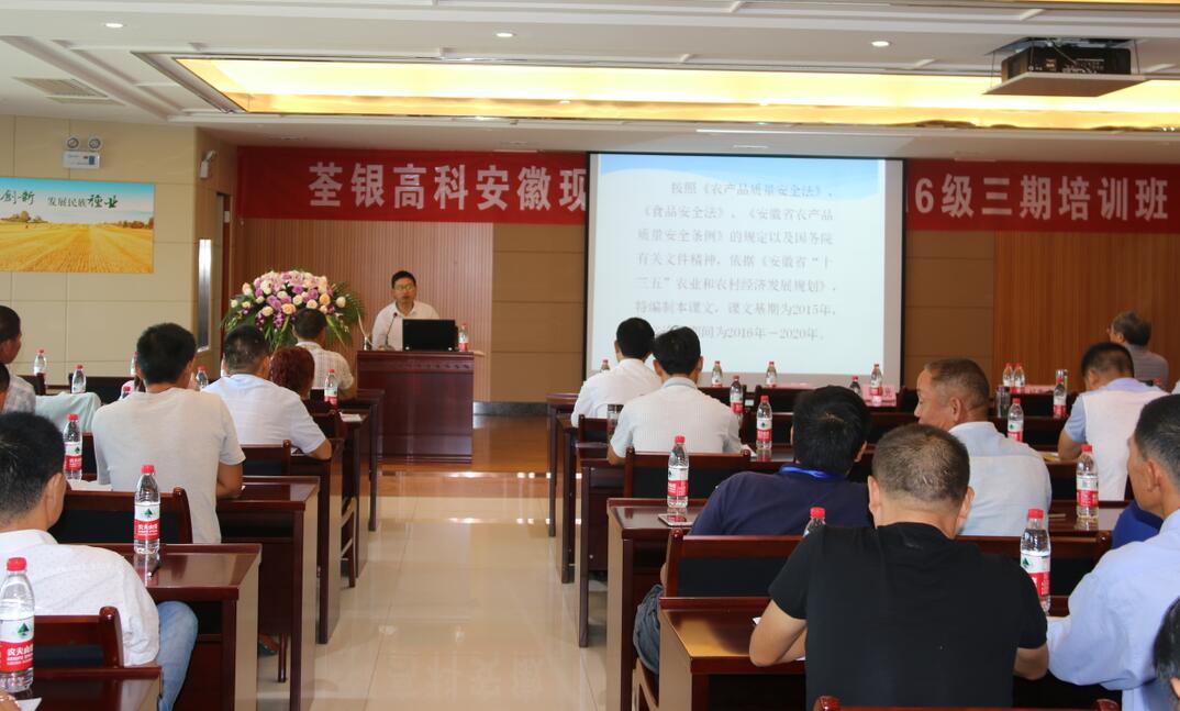 华人策略最新地址