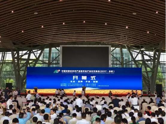 华人策略最新地址