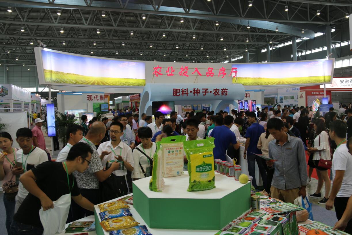 华人策略最新地址