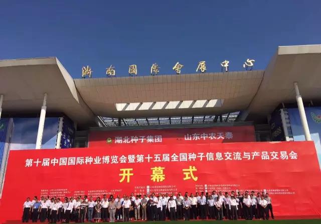 华人策略最新地址