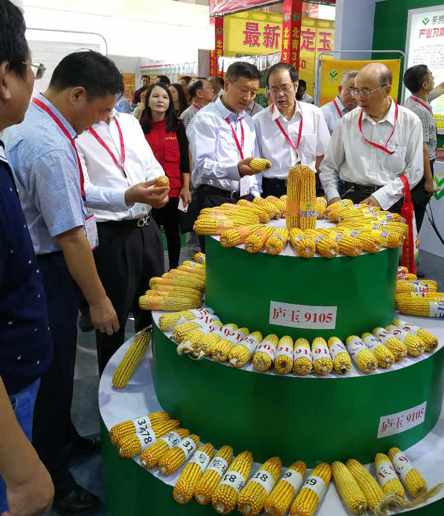 华人策略最新地址