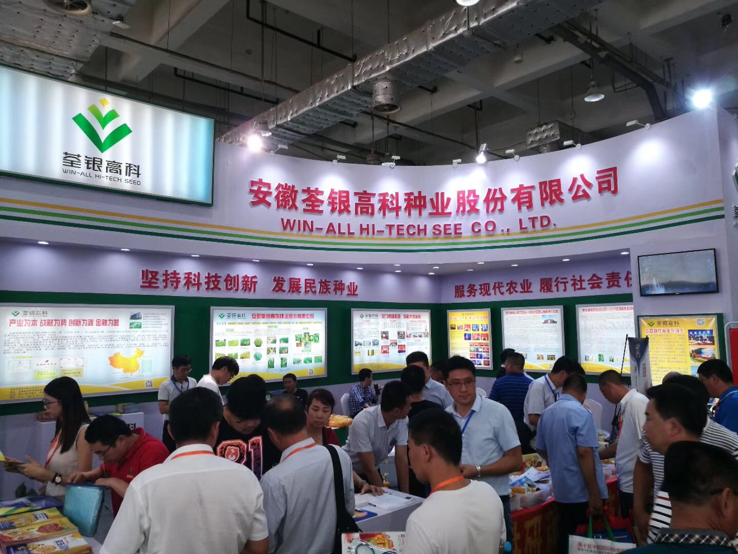 华人策略最新地址