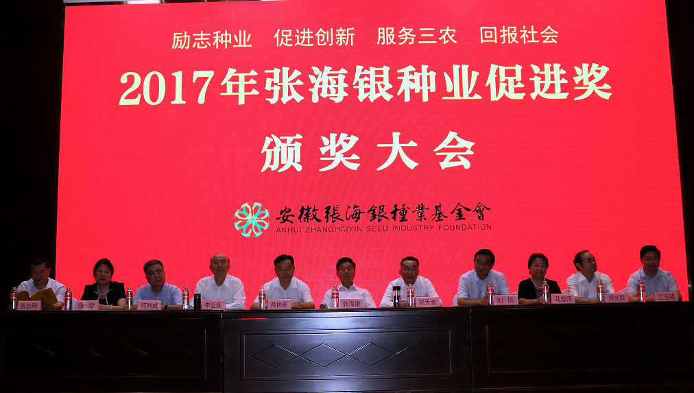 华人策略最新地址