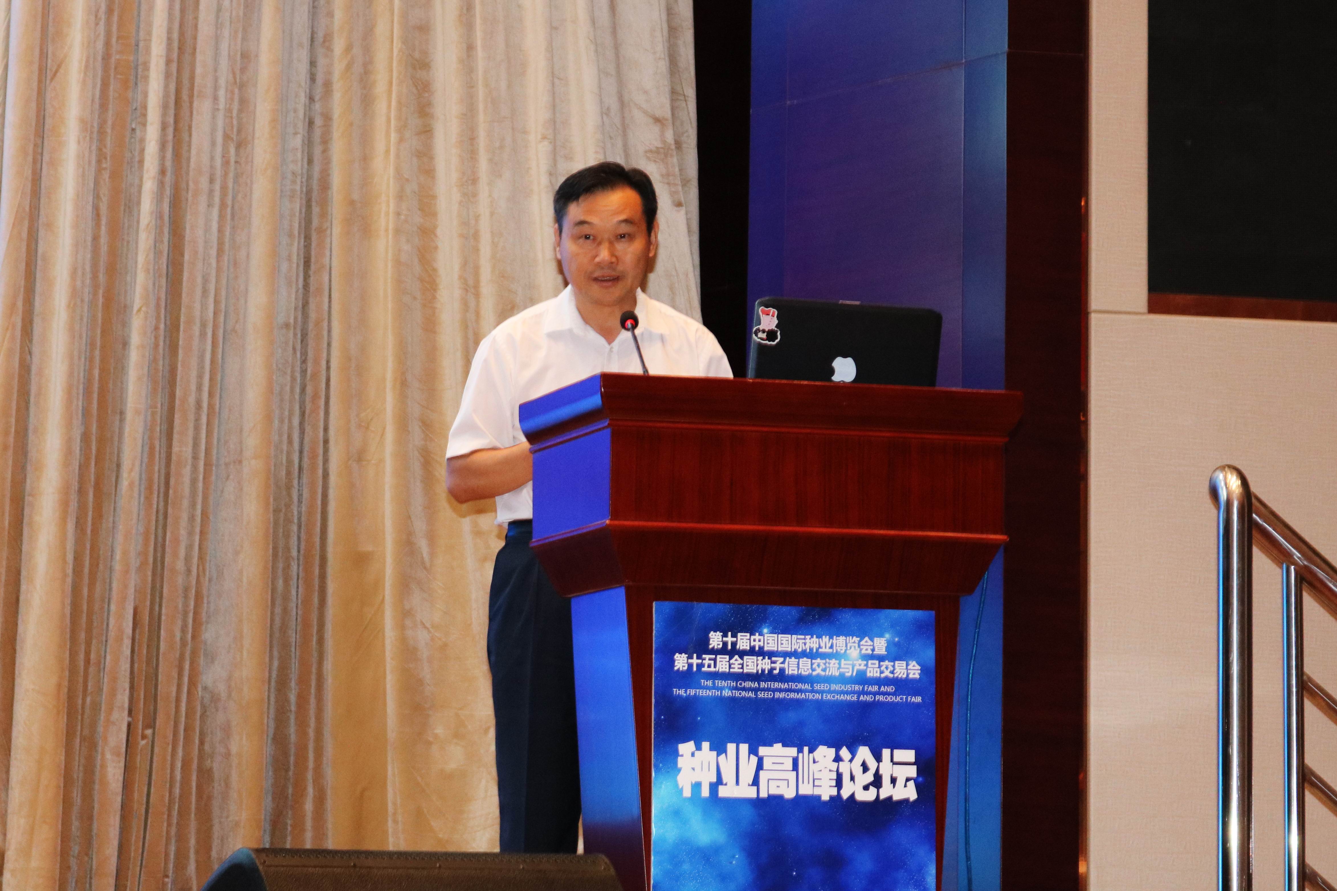 华人策略最新地址