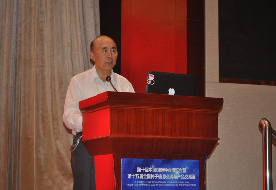 华人策略最新地址