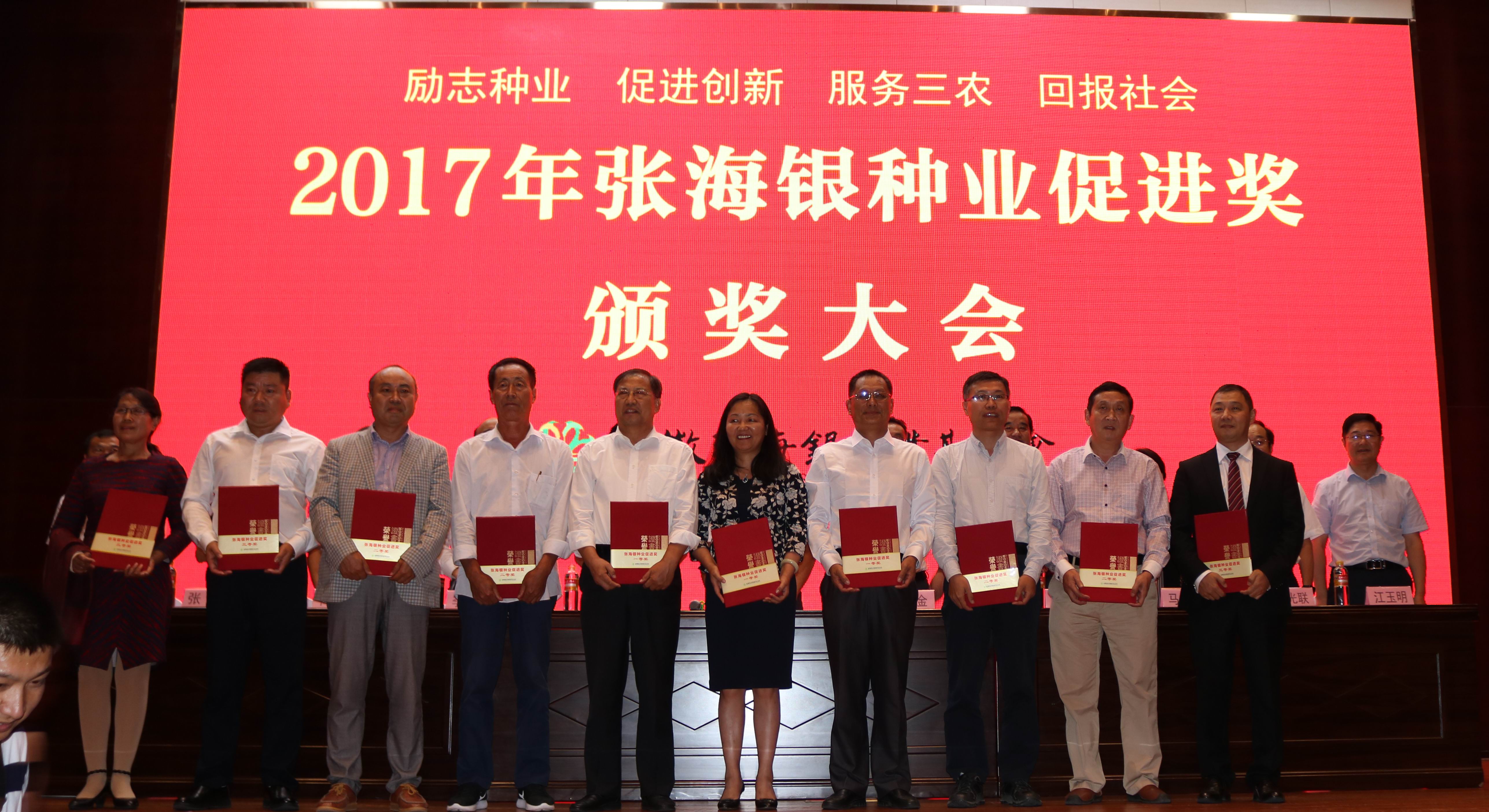 华人策略最新地址