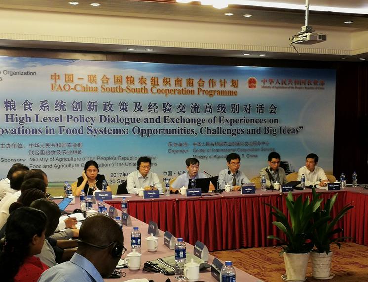 华人策略最新地址