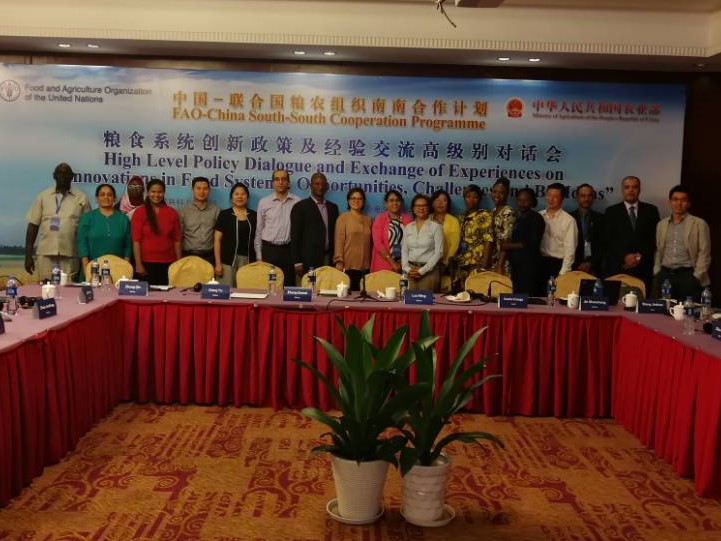 华人策略最新地址