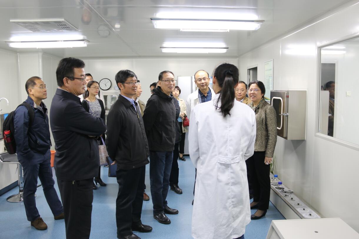 华人策略最新地址