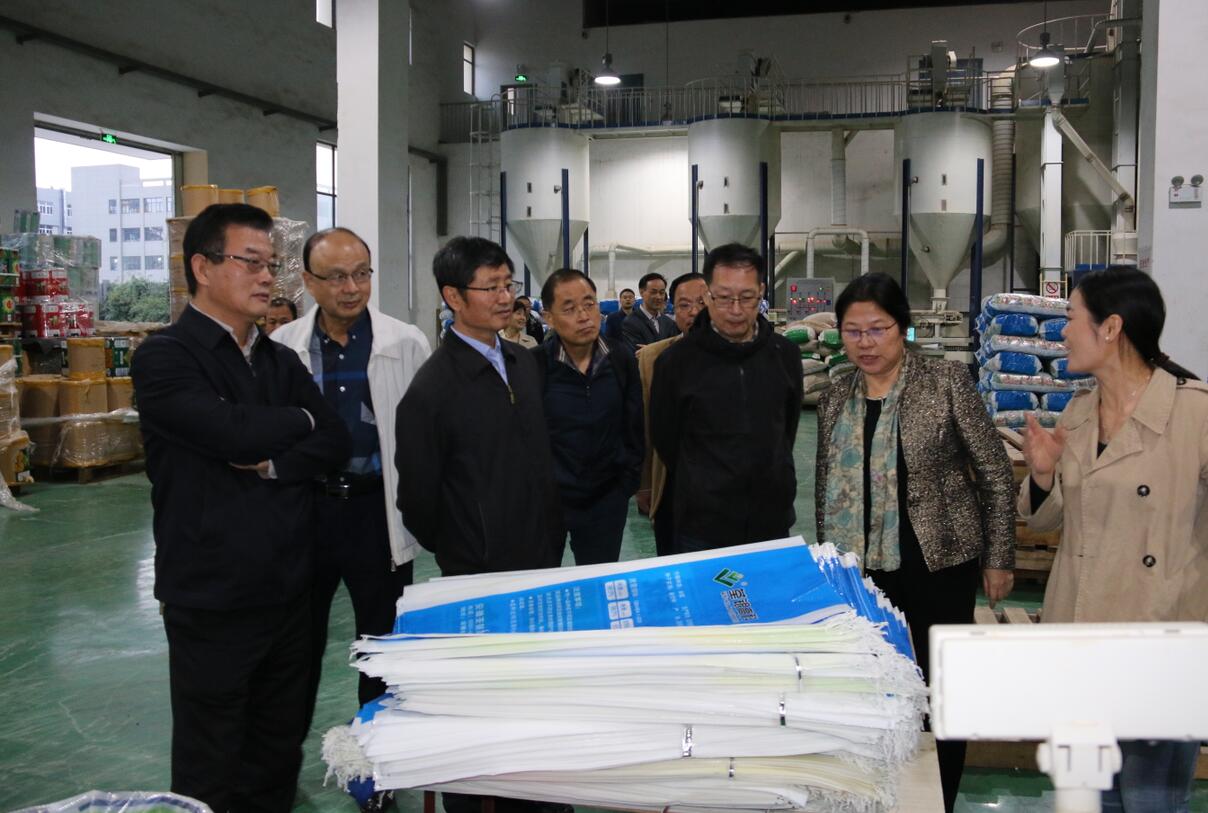 华人策略最新地址