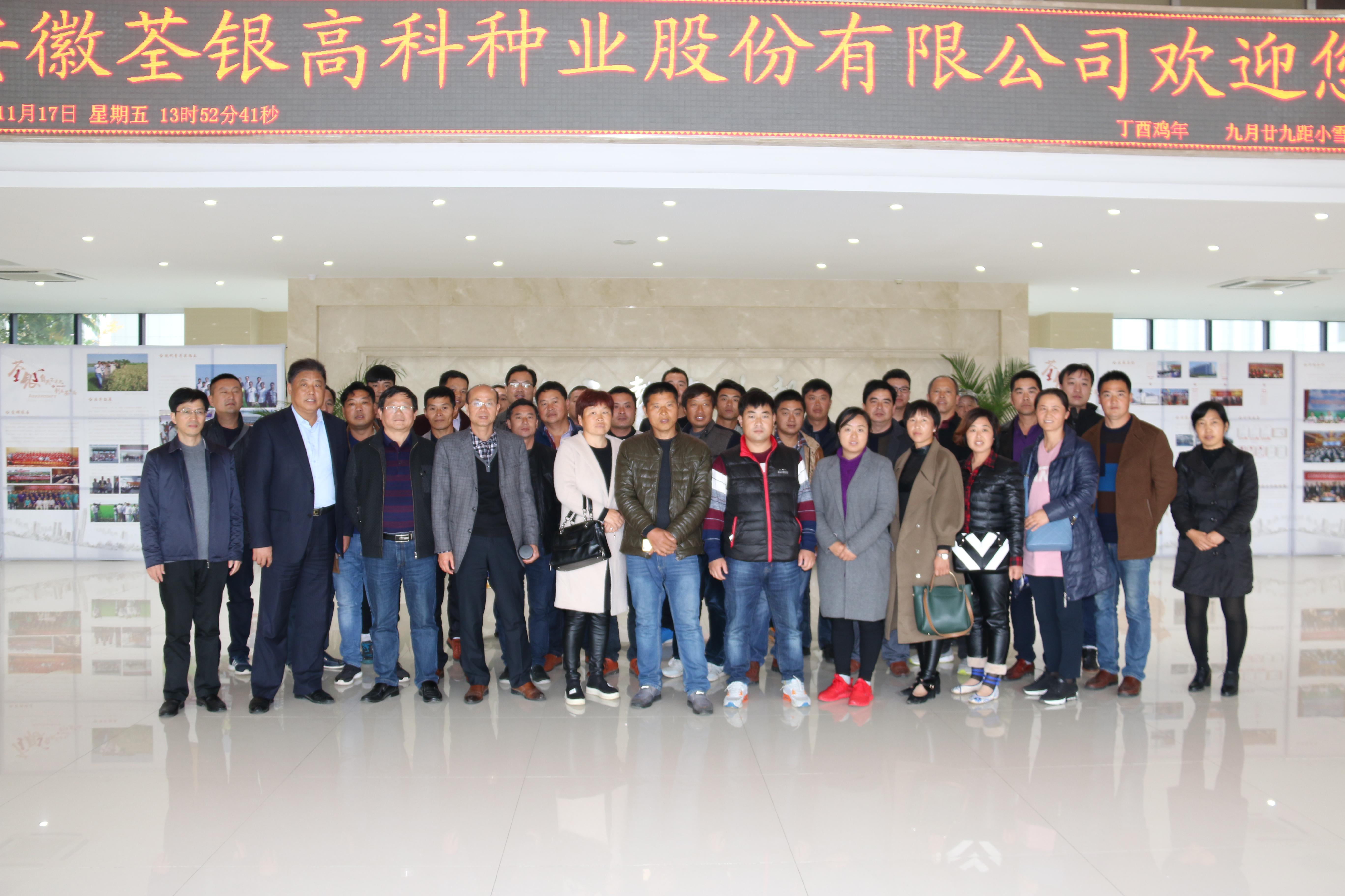 华人策略最新地址