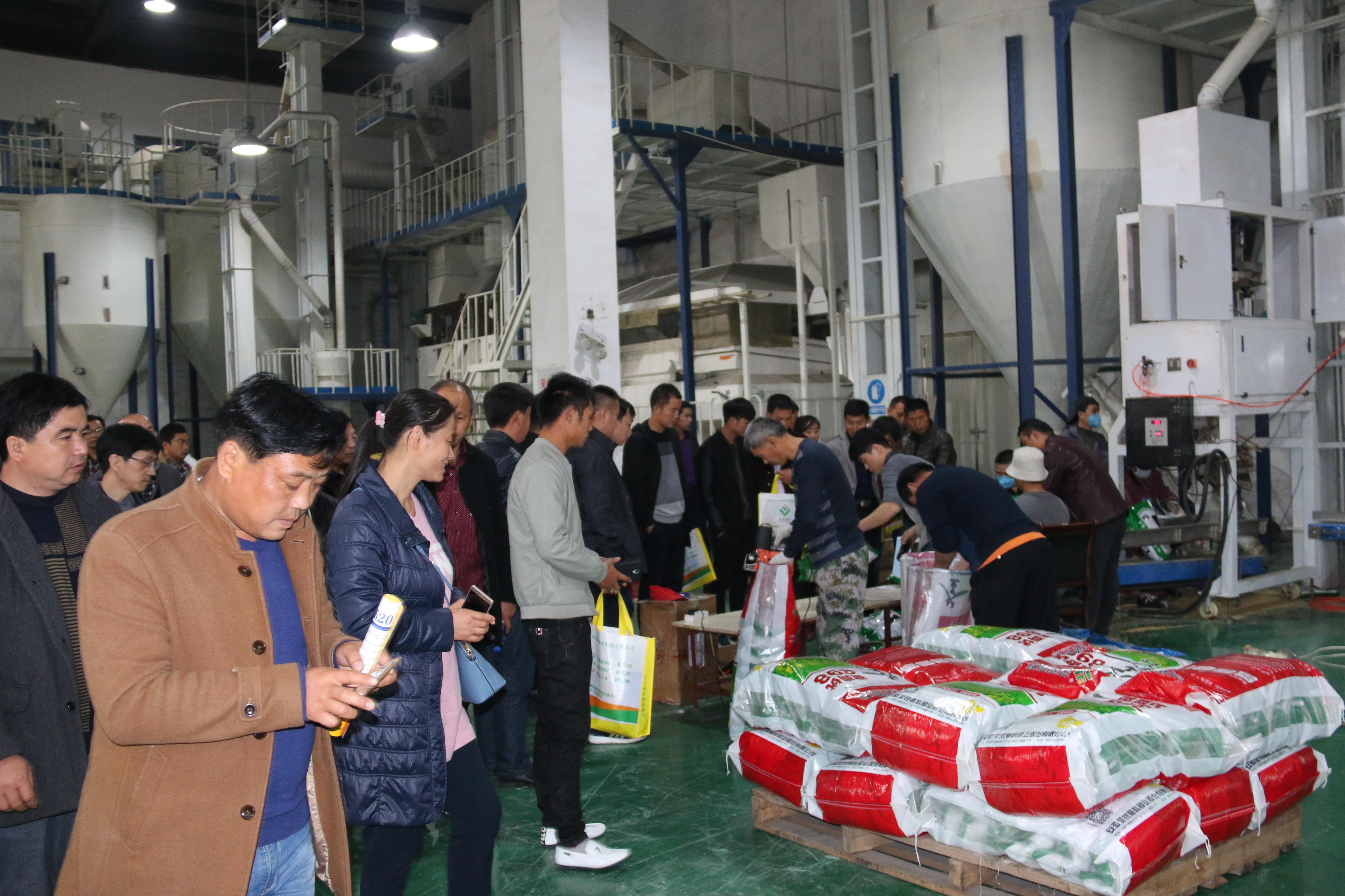 华人策略最新地址