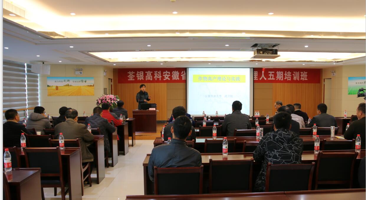 华人策略最新地址