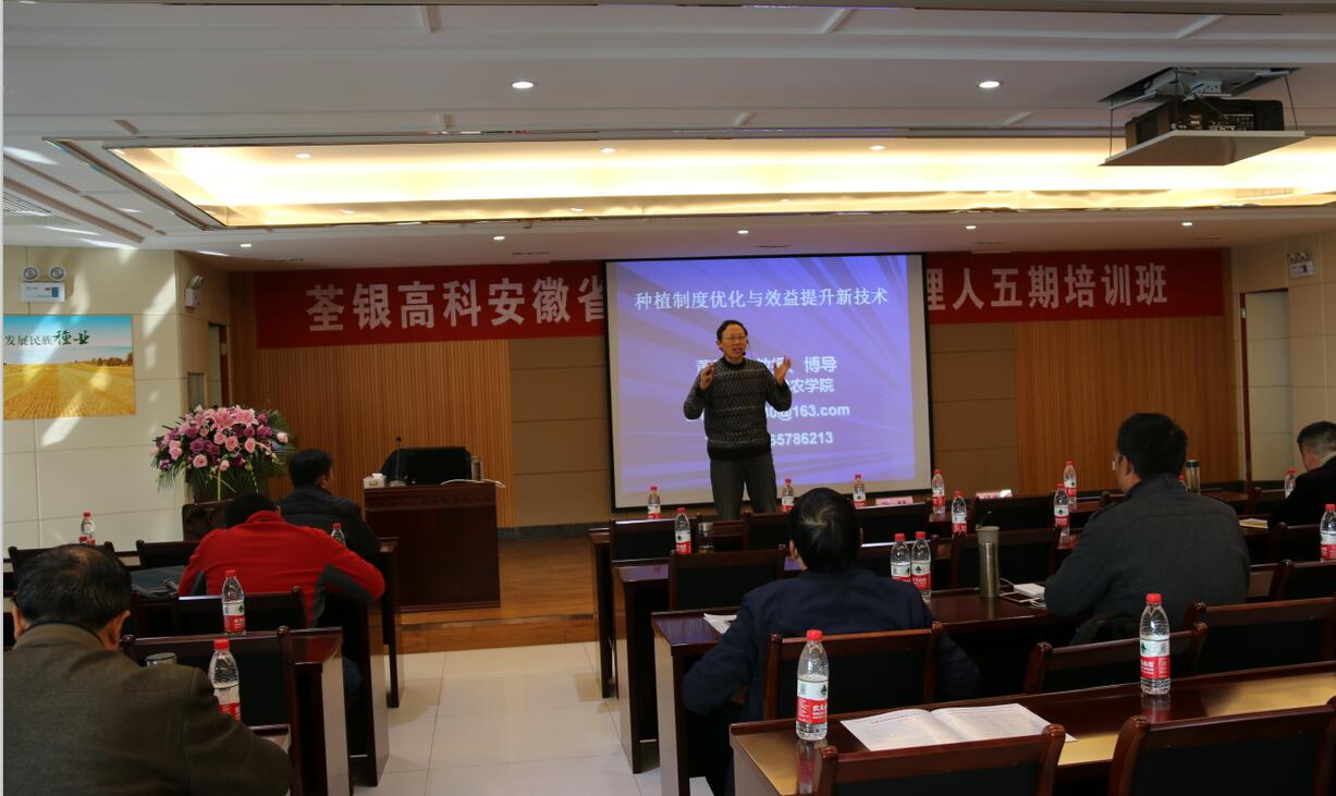 华人策略最新地址