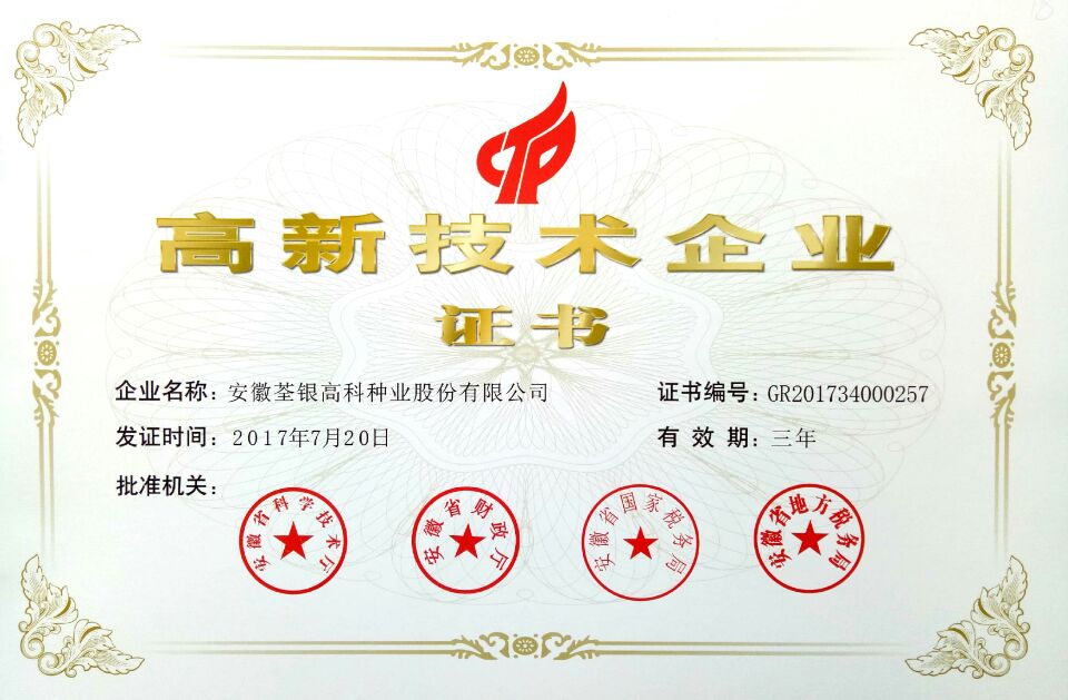 华人策略最新地址