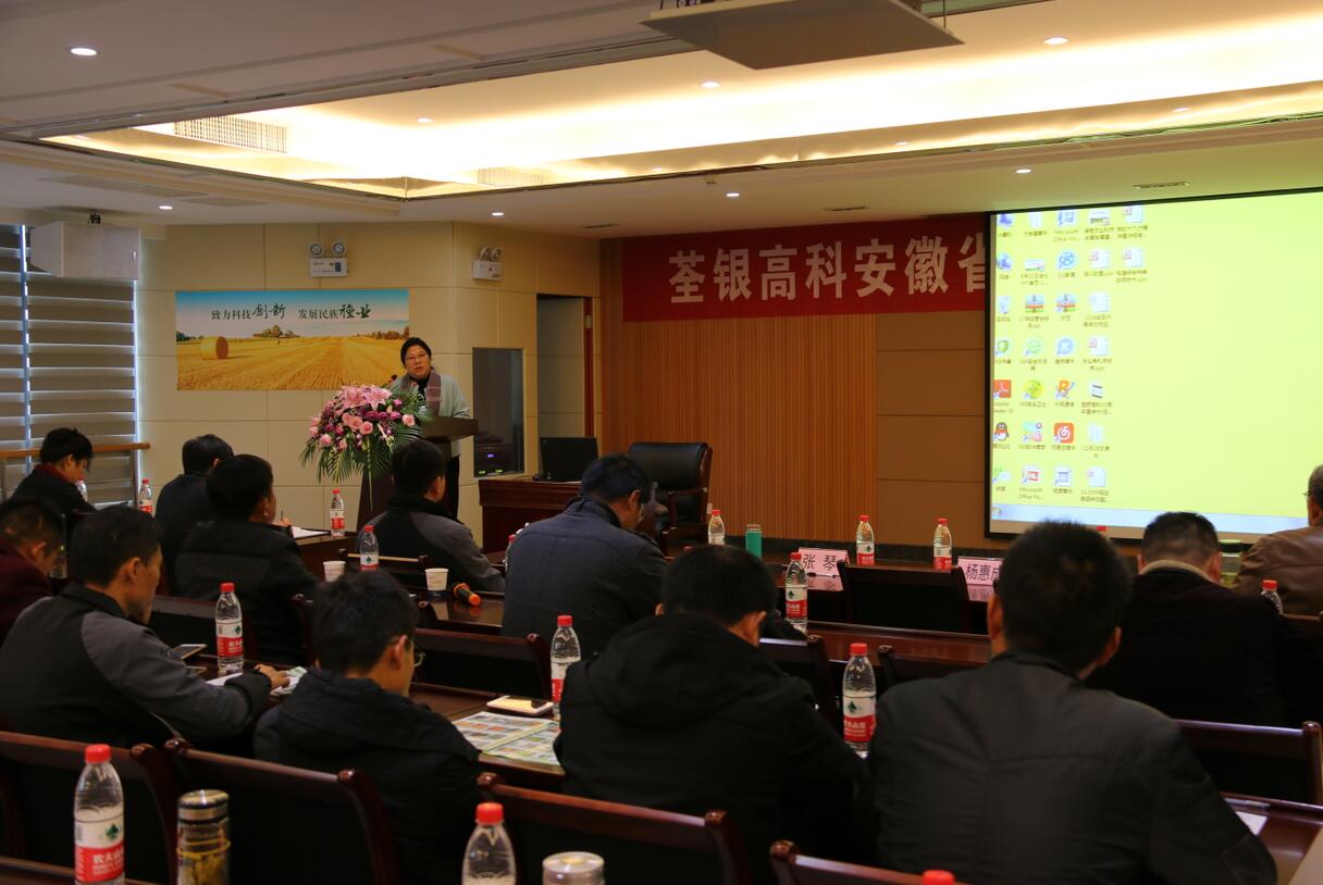 华人策略最新地址