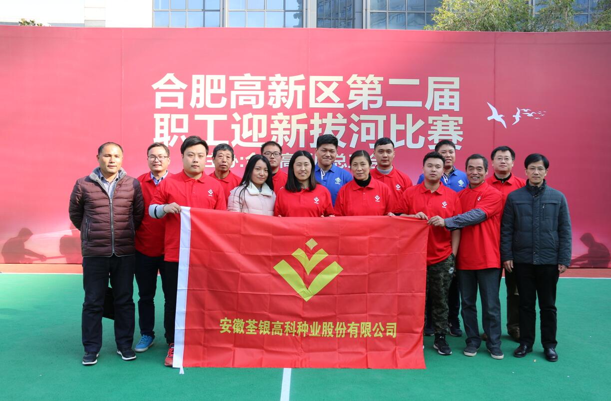 华人策略最新地址