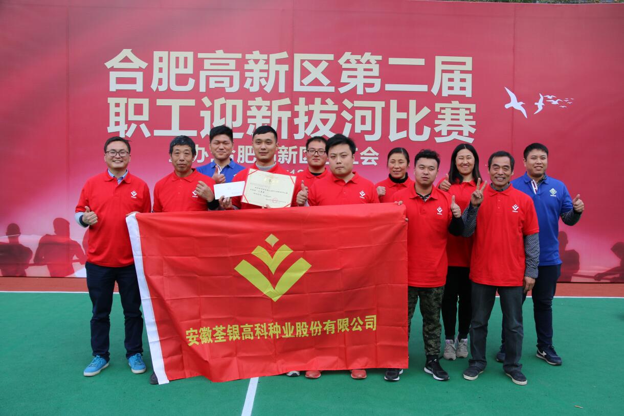 华人策略最新地址