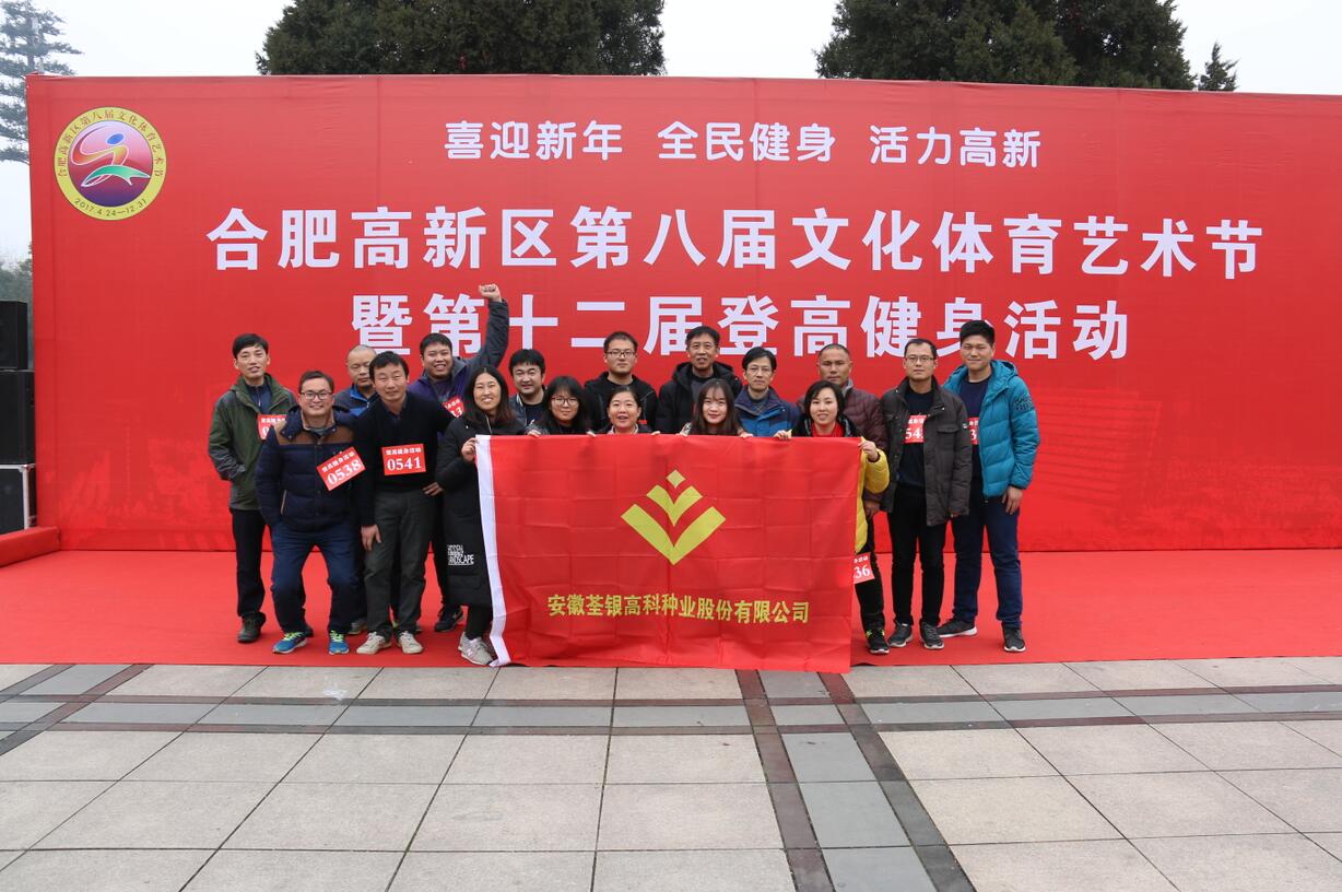 华人策略最新地址