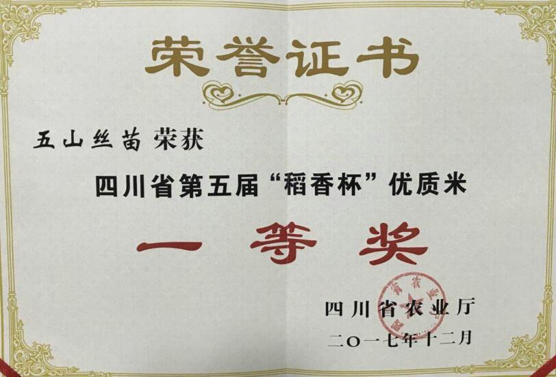 华人策略最新地址