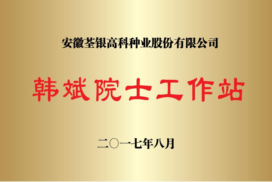 华人策略最新地址