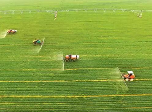 华人策略最新地址