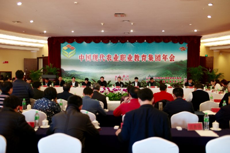 华人策略最新地址