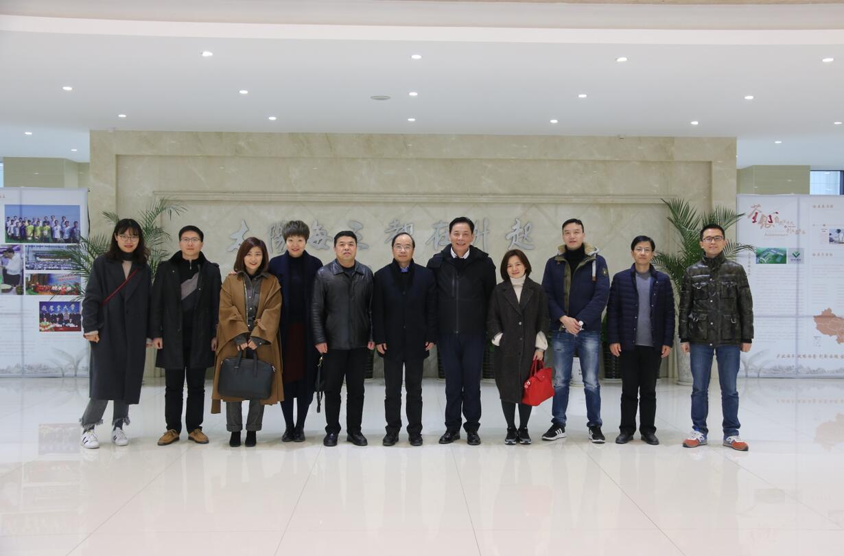 华人策略最新地址