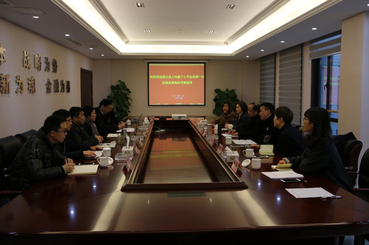 华人策略最新地址