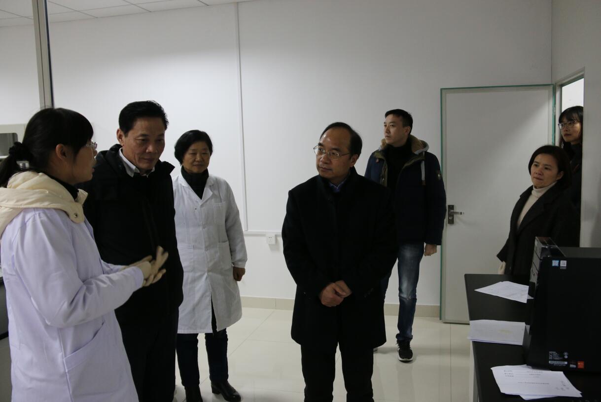 华人策略最新地址