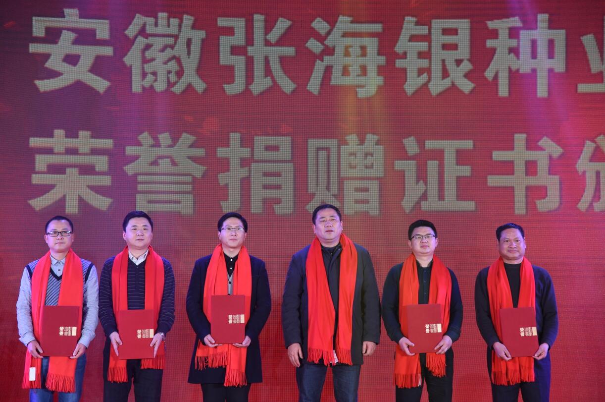 华人策略最新地址