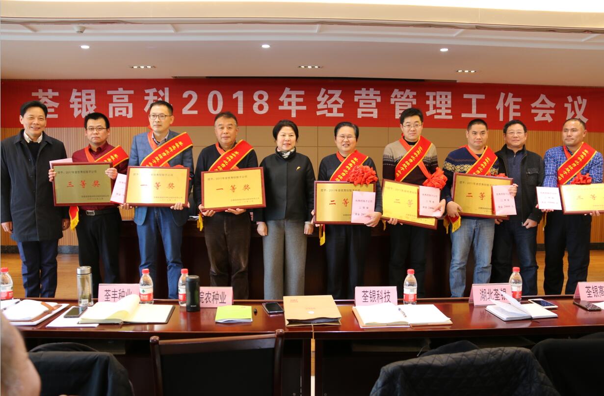 华人策略最新地址