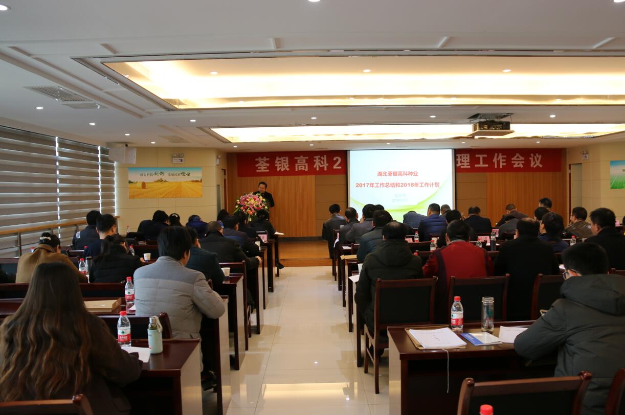 华人策略最新地址