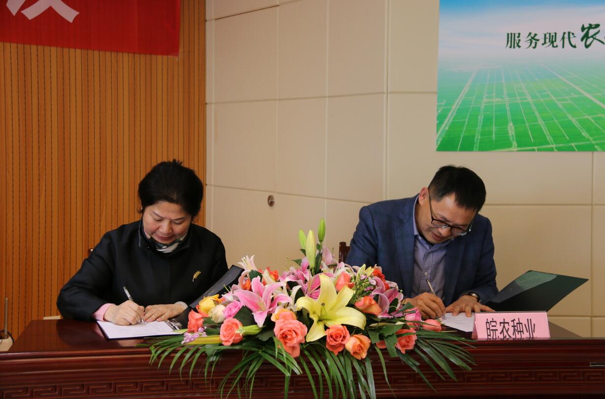 华人策略最新地址