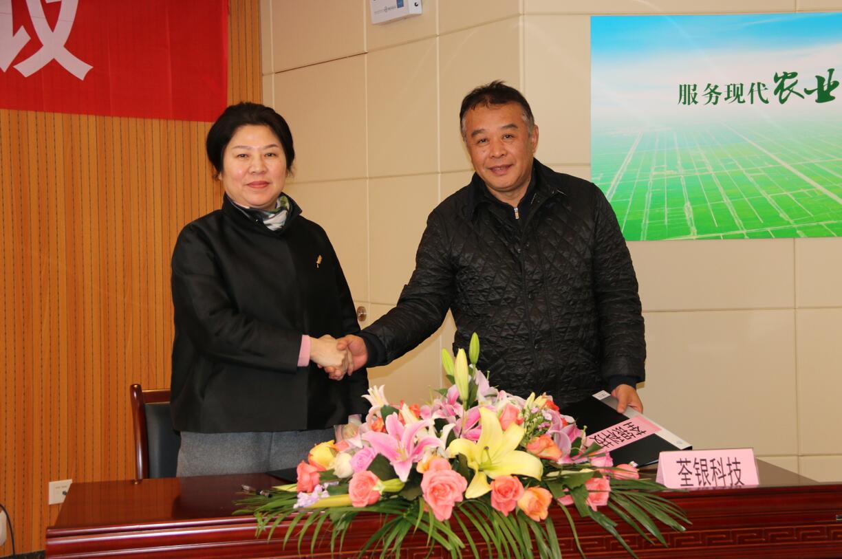 华人策略最新地址