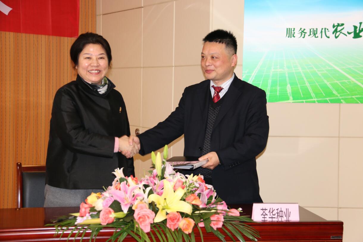 华人策略最新地址