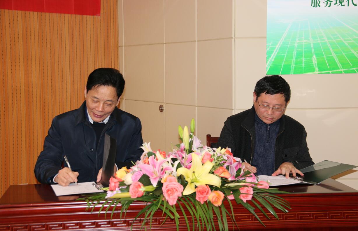 华人策略最新地址