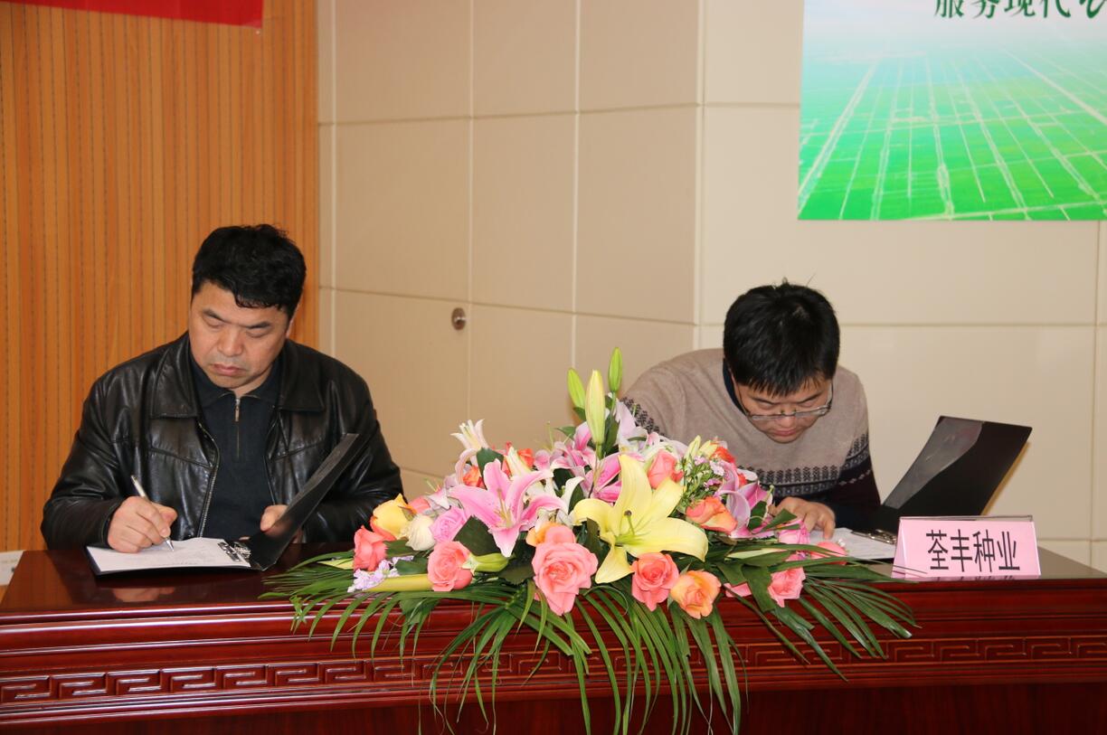 华人策略最新地址