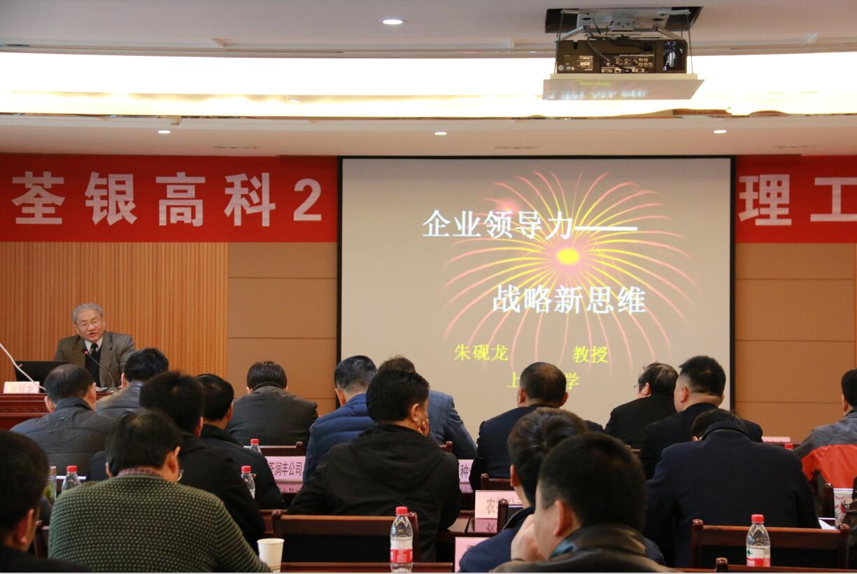 华人策略最新地址