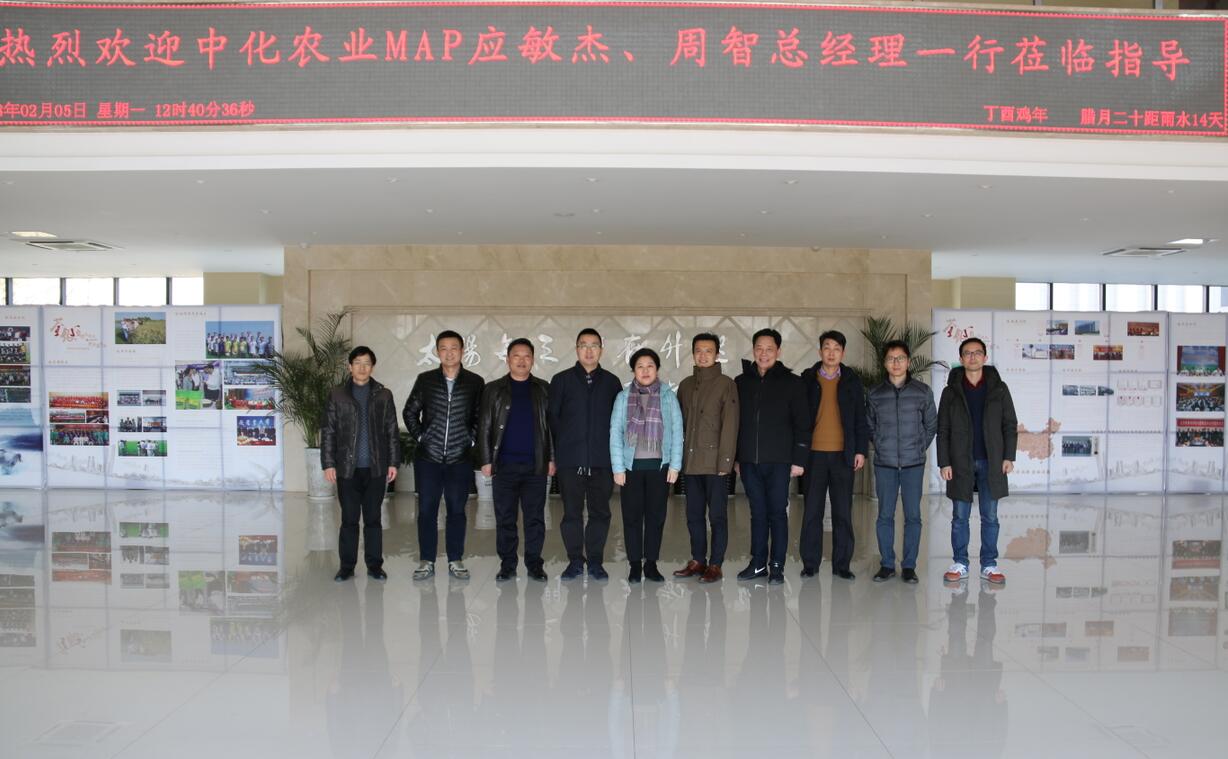 华人策略最新地址