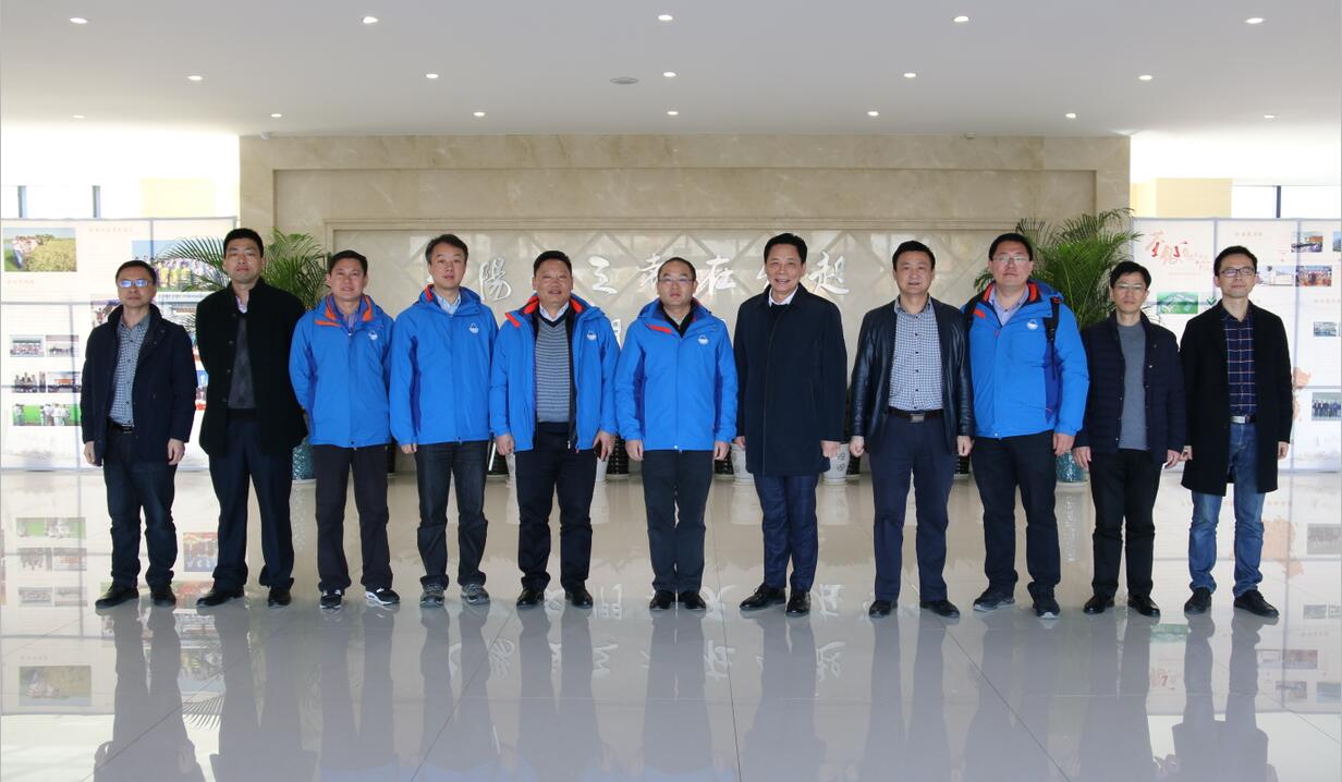 华人策略最新地址