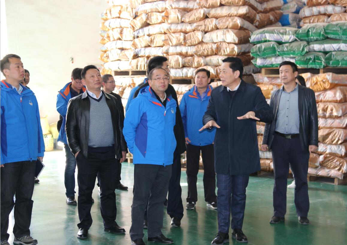 华人策略最新地址