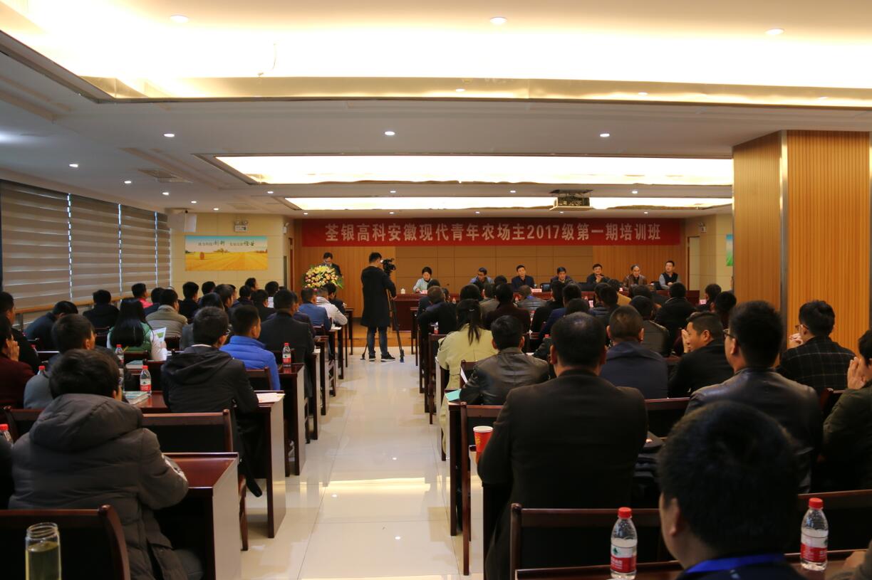 华人策略最新地址