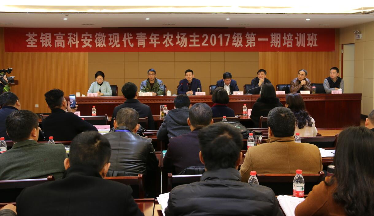 华人策略最新地址