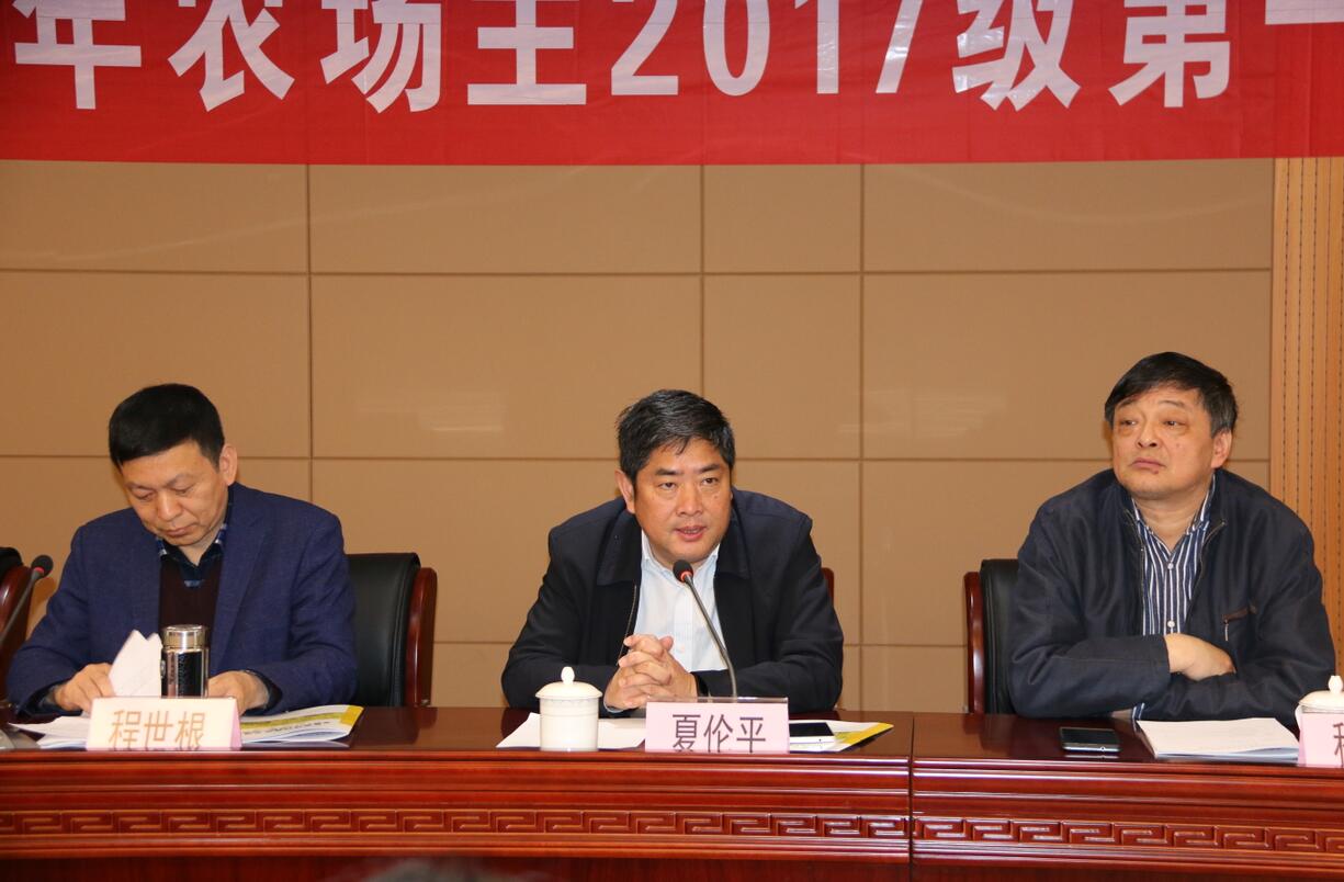 华人策略最新地址