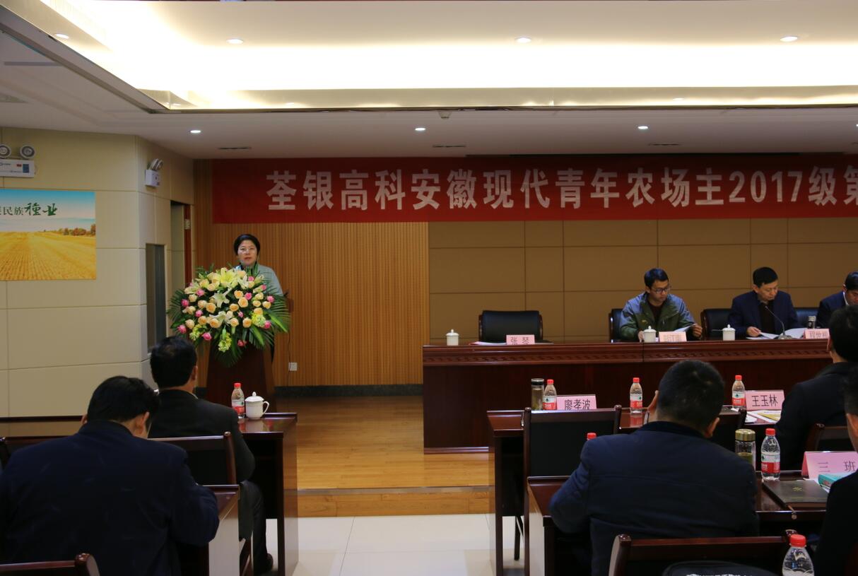 华人策略最新地址